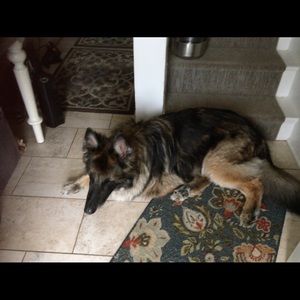 Meet your Posher, Robyn